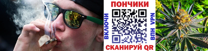 магазин продажи наркотиков  Александровское  Конопля VHQ 